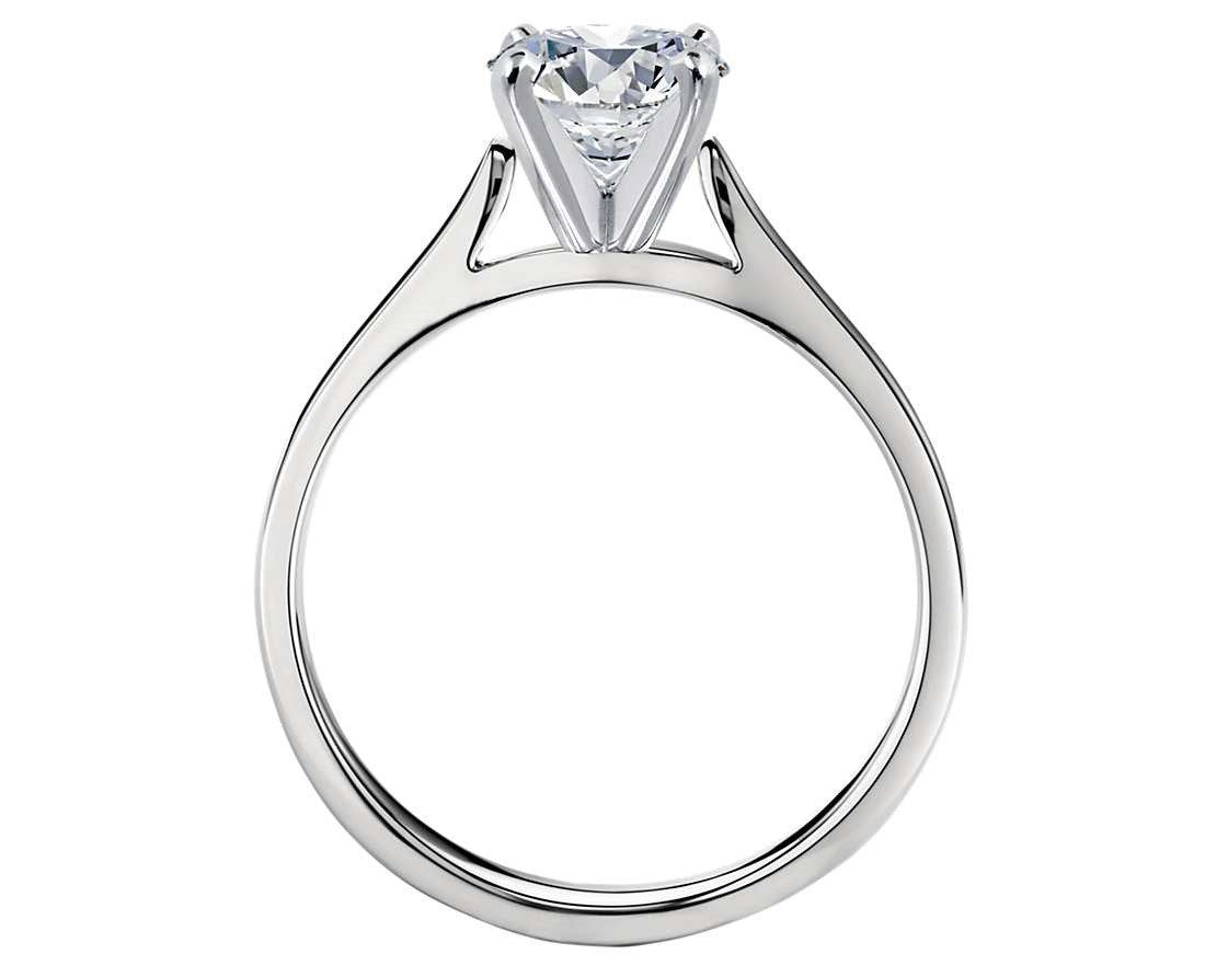 1.00 CT. Petite Cathedral Solitaire Engagement Ring in White Gold - White Carat - USA & Canada