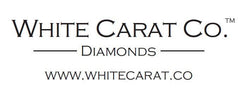 1.00 CT. Petite Cathedral Solitaire Engagement Ring in White Gold - White Carat - USA & Canada